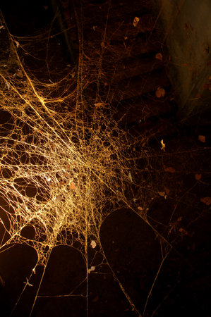 spider web in the dark, halloween background, spider webの写真素材