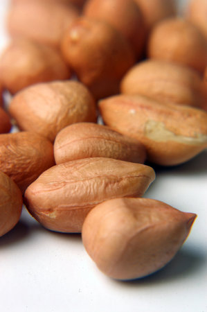 peanuts on a white background, close-up, macro.