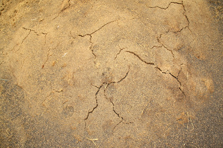 Cracks in the ground. The texture of the cracked earth.