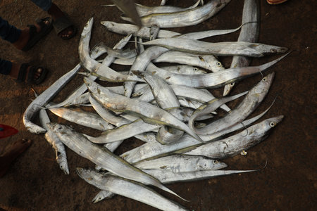 Fresh fish at the fish market in the city of Chiang Rai in North Thailand.
