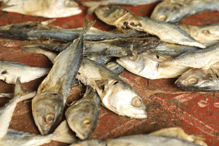 Fish drying in the sun on a red brick wall, closeup of photoの写真素材