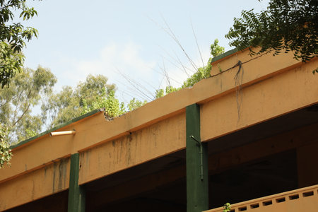construction site with green scaffolding and blue sky in the background