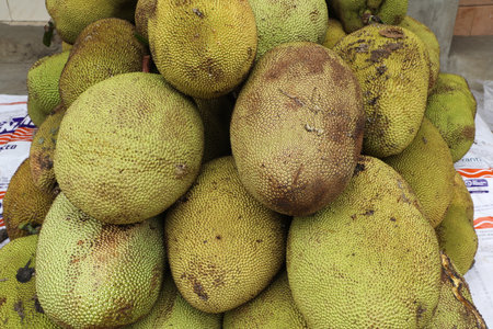 Jackfruit at the fruit market in Thailand, South East Asia.の写真素材