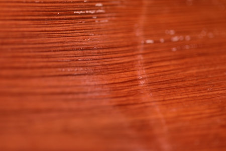 Medicated Dry Leaf Texture in studioの写真素材