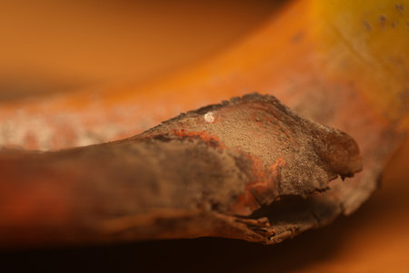 Close-up of a rotten banana. Shallow depth of field.の写真素材
