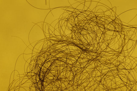 Macro Shot of Female Hair in Yellow lightの写真素材