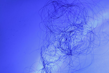 Macro Shot of Female Hair in Blue light