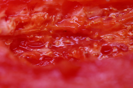 Fresh Pile of Juicy and Vibrant Fruit Slicesの写真素材