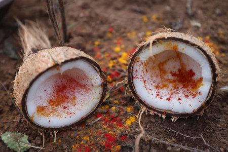 Coconut with red and white peel on the ground, Thailand.の写真素材