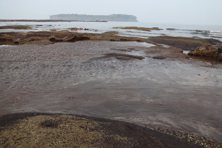 Rocks on the beach at low tide in Goa, India