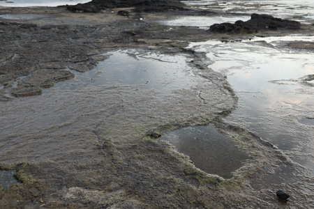 Wetlands at low tide, Bournemouth, Dorset