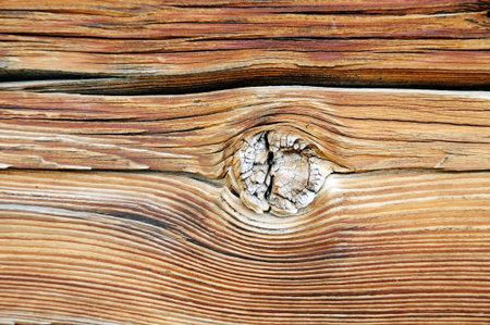 Old wood texture. background old wood texture. vintage wood texture backgroundの写真素材