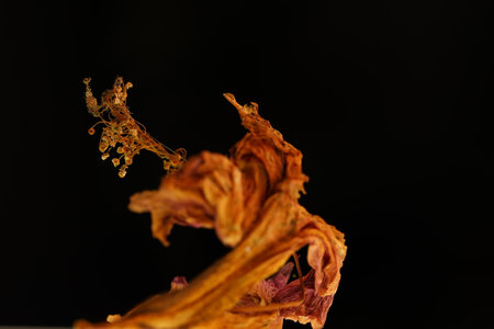 Dried flower petals on black background. Close-up.