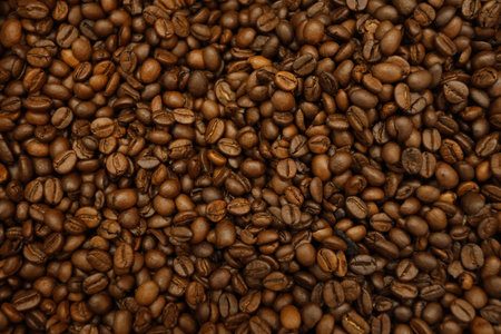 Coffee beans background. Roasted coffee beans close up.の写真素材