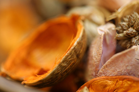 Dried flower petals close up macro shot with shallow depth of field