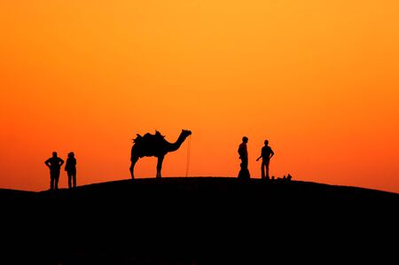 Sunset at Rajasthan Desert with camel standing
