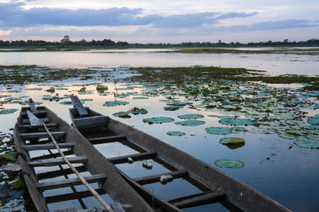 Boats on Marshの写真素材
