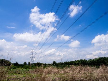power tower with fieldの写真素材