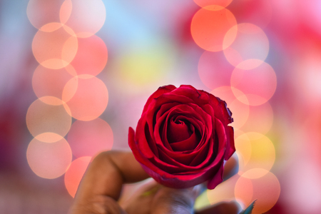 bokeh background of man holding a red roseの写真素材