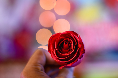 red rose flower is a symbol of valentine day holding by a man in bokeh backgroundの写真素材