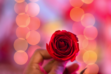 red rose flower is a symbol of valentine day holding by a man in bokeh backgroundの写真素材