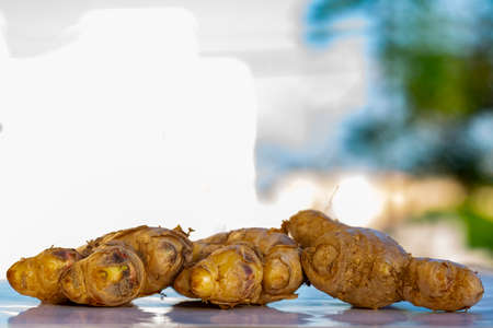 fresh organic raw ginger roots.