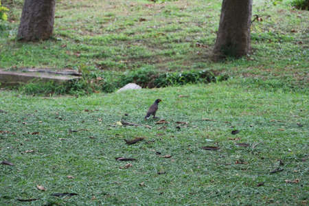 nature photo image beautiful landscape portraitの写真素材