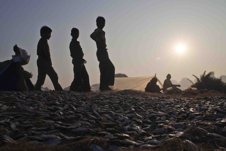 fisherman indiaのeditorial素材