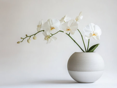 White orchid blooms, Minimalist ceramic vase, Spherical two-tone vessel, Delicate floral arrangement, Soft neutral colors, Clean white background, Elegant simplicity, Modern home decor, Studio photography, High-key lighting, Zen aesthetic, Botanical still life, Crisp details, Gentle curves, Subtle shadowsの素材