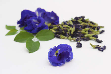 Butterfly pea flower-based powder and beverages, bread, foodsの写真素材