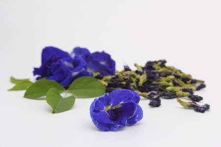 Butterfly pea flower-based powder and beverages, bread, foodsの写真素材