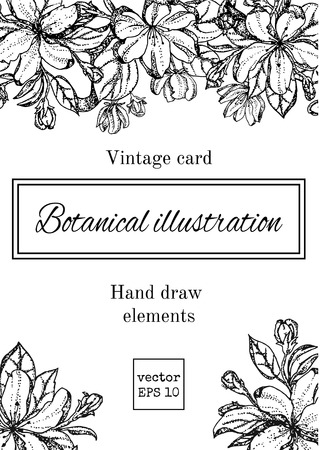 Romantic background. Vector illustration. Vintage card with garden flowers. Hand drawn apple tree flowers. Vector illustration blooming branches cherry, pear flower.のイラスト素材