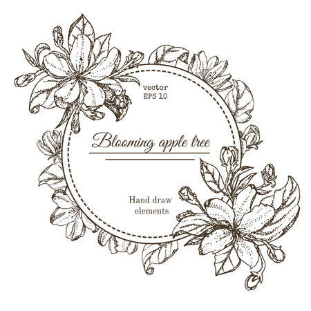 Vintage card with garden flowers. Hand drawn apple tree flowers. Vector illustration blooming branches cherry, pear flower, sakura. vector background of apple blossomのイラスト素材
