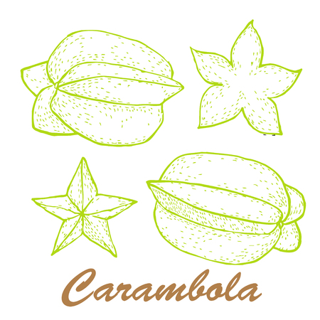 Vector illustration of carambola. Exotic fruit painted in Indian ink.のイラスト素材