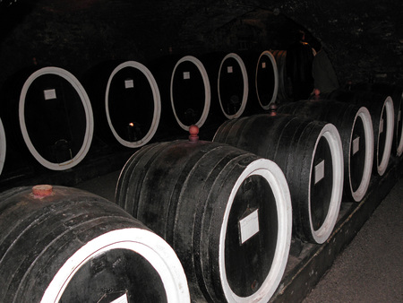 Big barrels in old wine cellars of Kutjevo,1, Croatia, Europe,