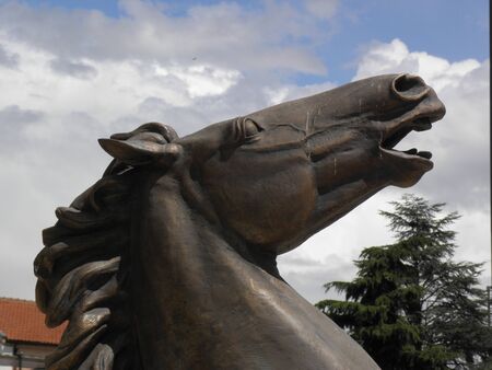 Sculptures of horses in Skopje, North Macedonia, Europe