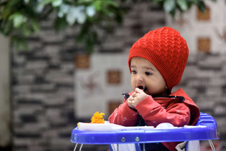 Cute little baby boy in red hat eating carrot in the parkの写真素材