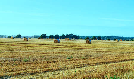 Rolled hay in suburban farmlandの写真素材