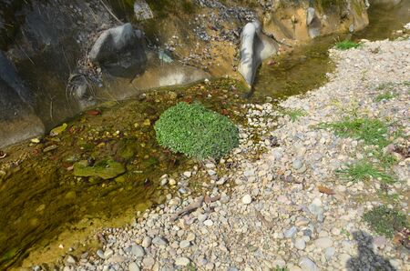 Channel of  River Hamirpur Himachal Pradesh Indiaの写真素材
