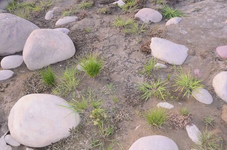Picture Taken Beside the Shoreline of River Beas Nadaun Hiamchal Pradesh Indiaの写真素材