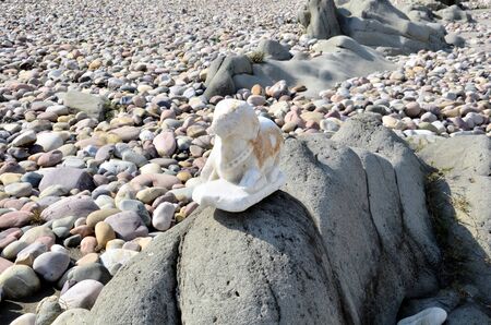 Status of Marvel Stone Beside River Amb India 1の写真素材