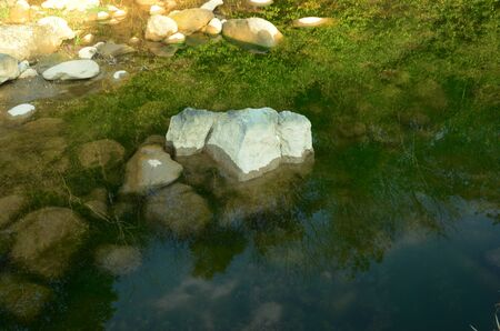 Stone in Centre of Natural Pound in Katoi Kangra Indiaの写真素材