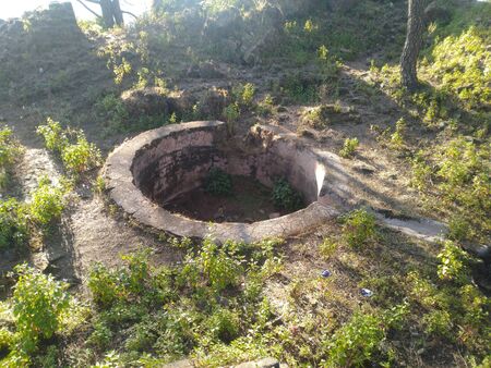 Water Sources Constructed in Jungle Palampur Indiaの写真素材