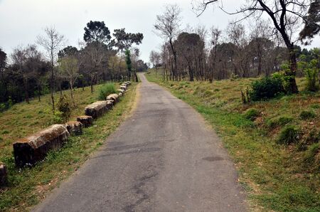 Long Empty Road in Himachal Pradesh Forest Indiaの写真素材