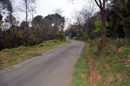Beautiful Empty Road in Forest of Himachal Pradesh India 112の写真素材