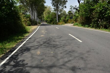Empty Road in Jungle of Himachal Pradesh India 05の写真素材