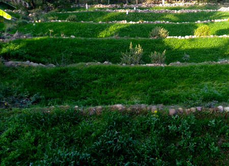 This picture is taken at Hamirpur Himachal Pradesh Indiaの写真素材