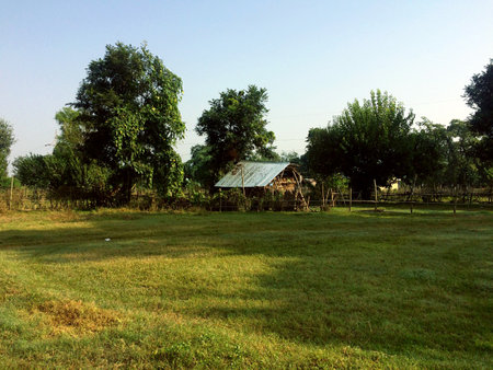 Dog Hut in green field in Forest Indiaの写真素材