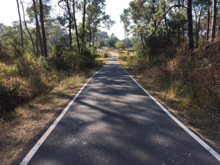 Single Rode go to the village himachal pradesh india 1236の写真素材