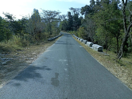 Empty Road in Forest Himachal Pradesh India 021の写真素材